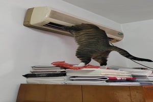 Der Techniker ist am Werk