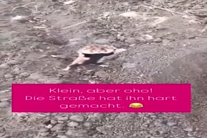Kleine-aber-oho.mp4 von Celina93