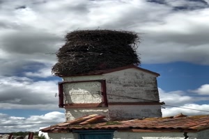 Cooles-Nest.mp4 auf www.funpot.net