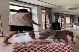 Der Hund frisst lieber als dem Herrchen zu helfen