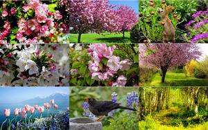 klicke hier, um die Datei herunterzuladen Frühling