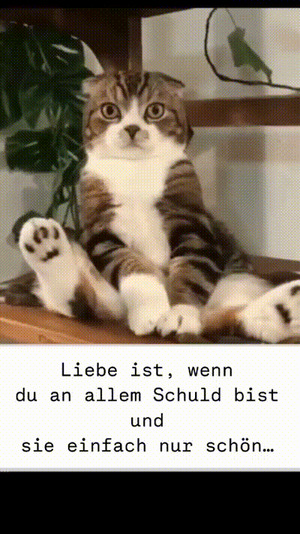 weiter