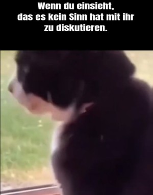 Diskutieren hat keinen Sinn