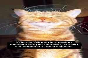 wenn endlich wieder die Sonne scheint
