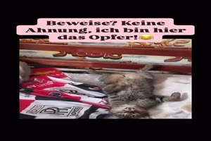 Ich-bin-das-Opfer.mp4 auf www.funpot.net