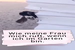 Wie meine Frau mich ruft