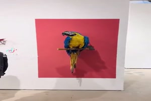 Geniale-Kunst.mp4 von Jack-1992