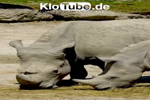 weiter