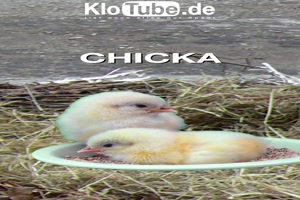 weiter