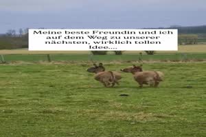 weiter