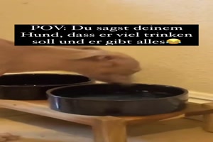 weiter