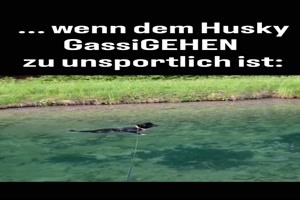 weiter