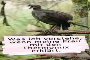 weiter