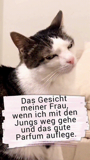 weiter