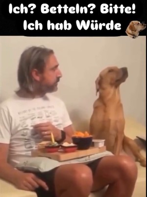 weiter