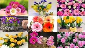Flowers 25
