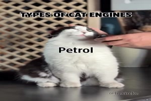 Die verschiedenen Motoren