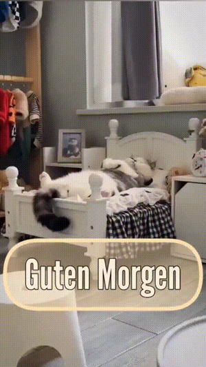 Guten-Morgen.gif von you-and-i