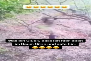 Guck mal nach oben
