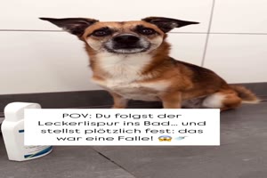 weiter
