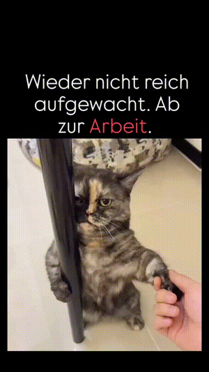 Wieder-nicht-reich-aufgewacht.gif von Lotusbluete