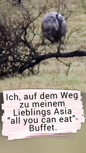 Auf-dem-Weg-zum-Buffet.gif von Larissa-1989