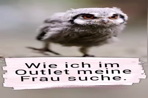 Die Suche nach der Frau