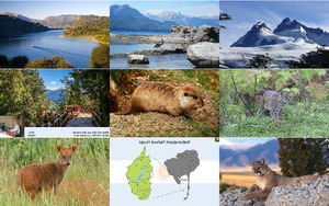 klicke hier, um die Datei herunterzuladen Nationalpark Nahuel Huapi