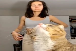 Die Katze hat was gesehen