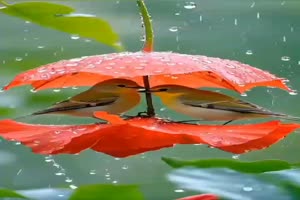 Regen.mp4 von Fabioma