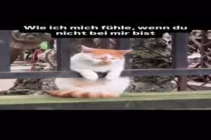 Wenn-du-nicht-bei-mir-bist.mp4 von Robert91