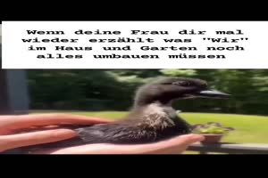 Die-Frau-sagt-viel.mp4 von Hektor