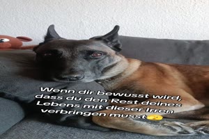 weiter