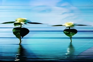 Flower-Dancing.mp4 von Artist