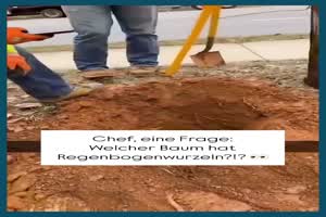 Kein-Baum-hat-Regenbogenwurzeln.mp4 von Talea1993