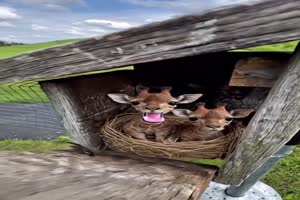 Lustige-Fotomontage.mp4 von Talea1993