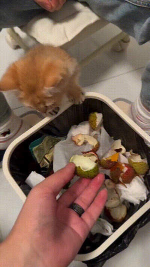 Das-mag-ich-nicht.gif von Talea1993