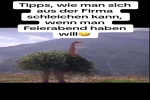 weiter