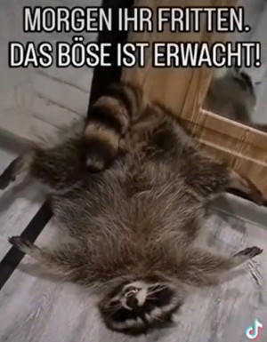 weiter