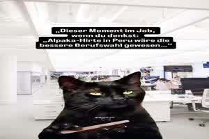 weiter