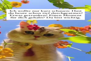 Wollte-nur-kurz-nach-dir-sehen.mp4 auf www.funpot.net