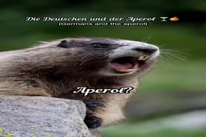 Aperol-geht-immer.mp4 von Erna70