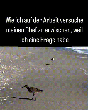Der-Chef-ist-nicht-greifbar.gif von Erna70