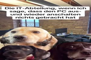 Das-hat-nichts-gebracht.mp4 von Eveline