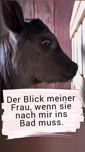 weiter