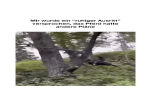 Das Pferd hatte andere Plne