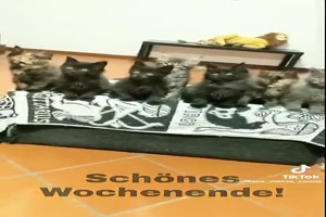 weiter