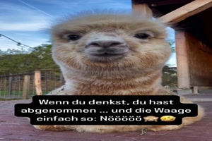 Das ist natrlich enttuschend