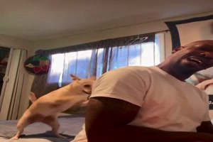 Massage-vom-Hund.mp4 von Hektor