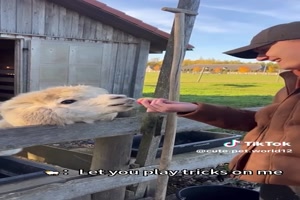 Mach-so-weiter-und-ich-spucke.mp4 von Deniz